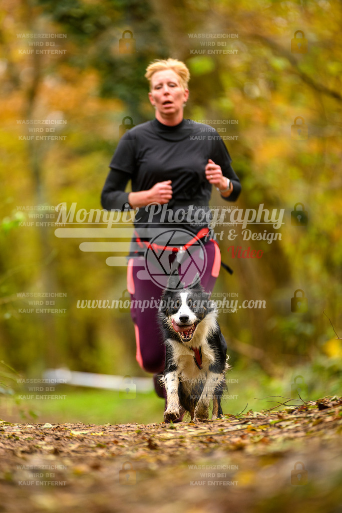 MompixPhotography_Bischwiller24_SA_Canicross-84 | PayLife