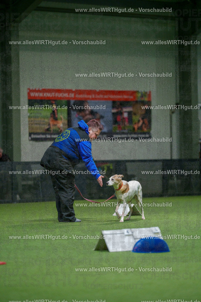 7R504527 | Professionelle Tierfotografie in Mönchengladbach von Daniel Wirth (allesWIRTHgut). Liebevolle & natürliche Bilder von Hunden & Katzen für unvergessliche Erinnerungen.