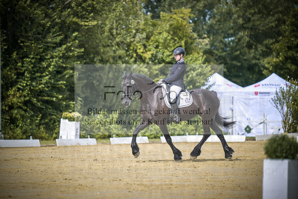 DOS_4936 | Entdecke hochwertige Reitturnierfotos von Foto Oger. Professionell, emotional und authentisch – jetzt Lieblingsmomente im Shop bestellen.Deutschlandweite Turnierfotografie. - Realisiert mit Pictrs.com