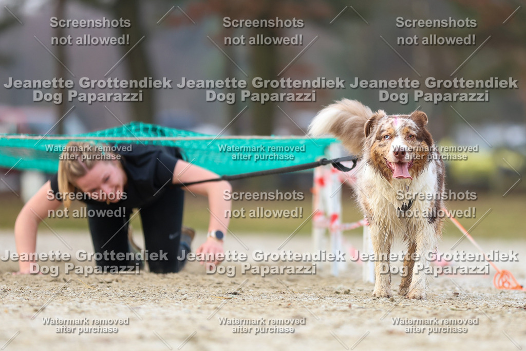 Dog Paparazzi - Strongdog North Mrz26-3838 | Dog Paparazzi Jeanette Grottendiek Fotografie & Videografie - Realisiert mit Pictrs.com