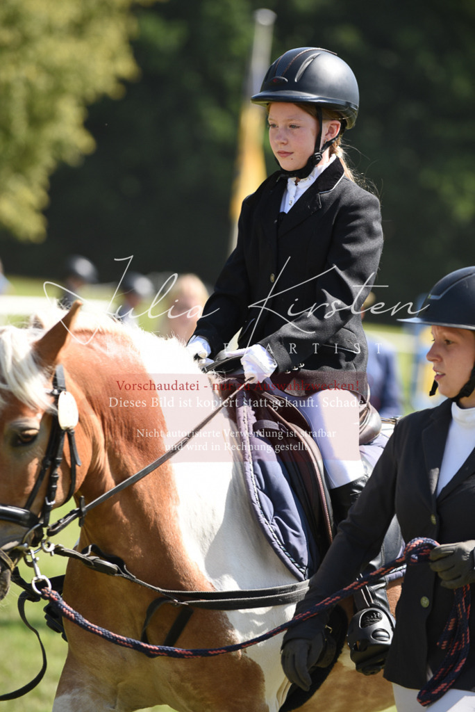 DSC_9706 | Pferde- und Turnierfotografie in Westsachsen. Pferdeportraits, Auftragszeichnungen und intuitive Kunst.