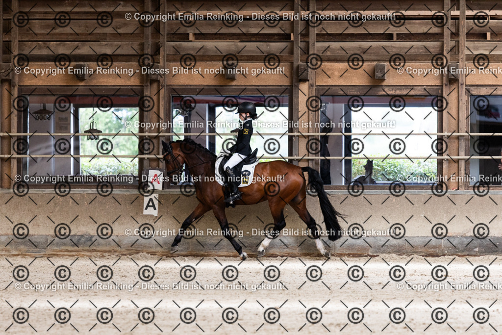 CL5A4115 | Emilia Reinking Fotografie - Realisiert mit Pictrs.com