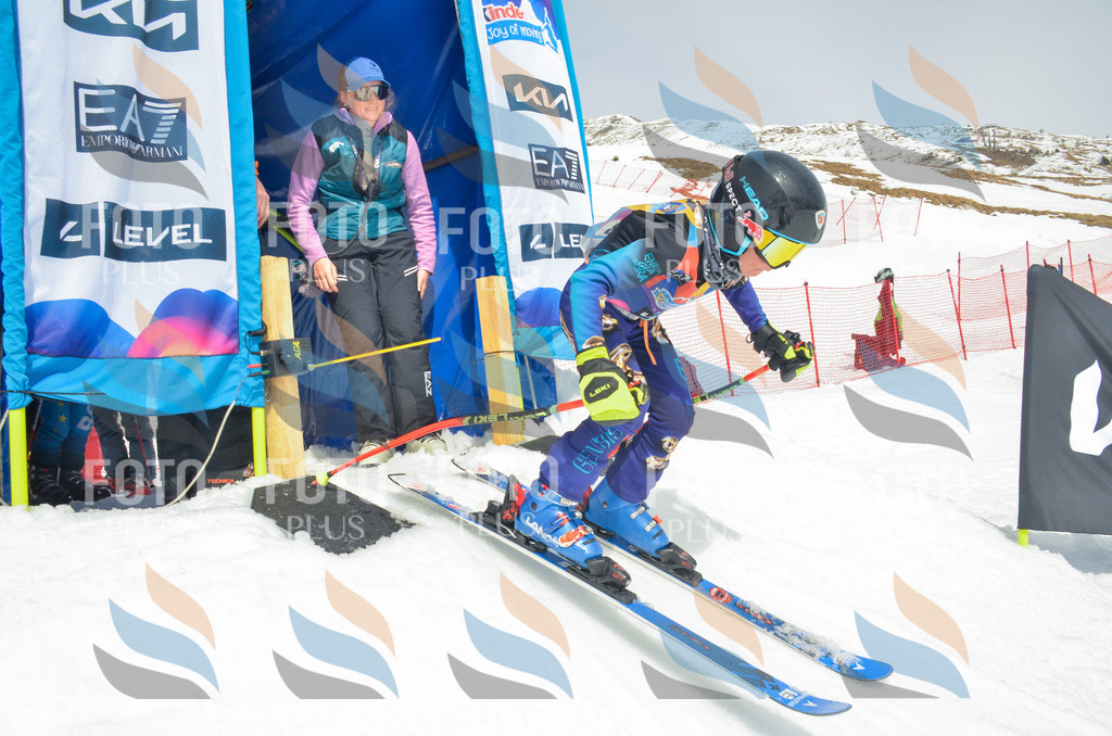 _ELE7976 | holidayphoto