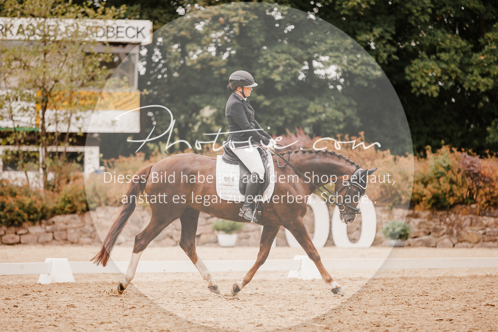 3I6A5883 | Stimmungsvolle Portraits und Reitsportfotografie im Ruhrgebiet und im Münsterland.

Pferdefotografie, Hundefotografie, Tierfotografie, Reportagen, Portraits von Tier und Mensch, Turnierfotografie in Bochum, Recklinghausen, Marl, Haltern am See, Dülmen.. - Realisiert mit Pictrs.com