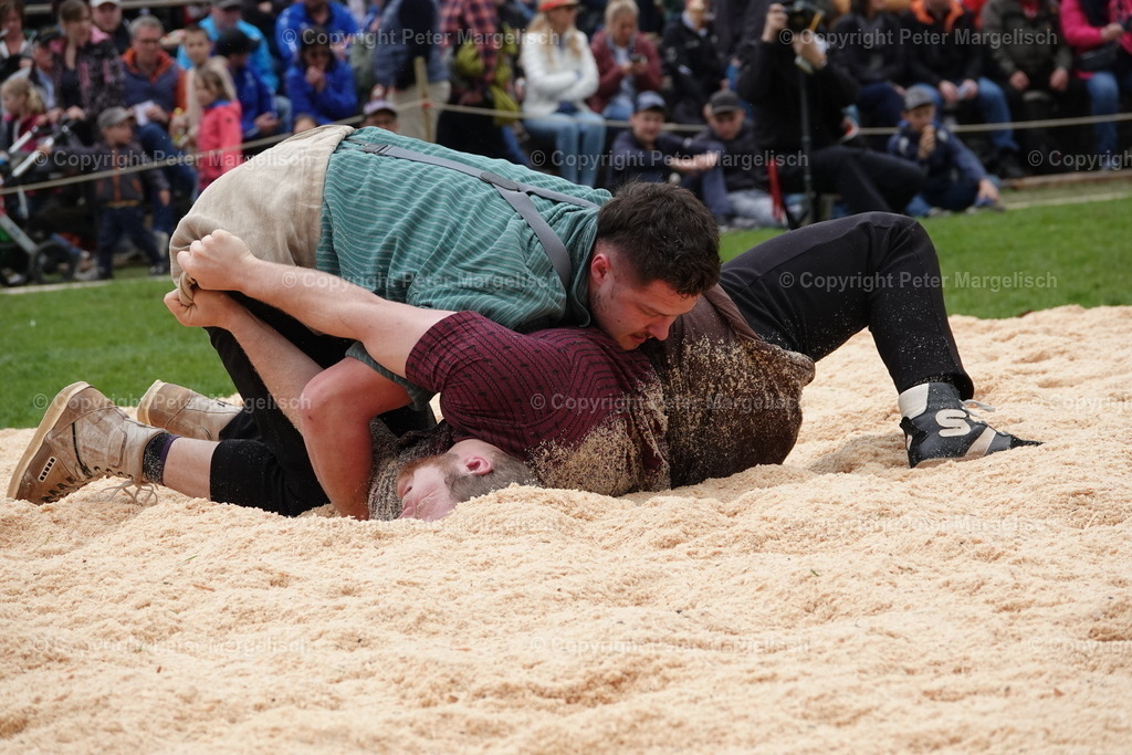 DSC03319 | Schwingen - Realisiert mit Pictrs.com