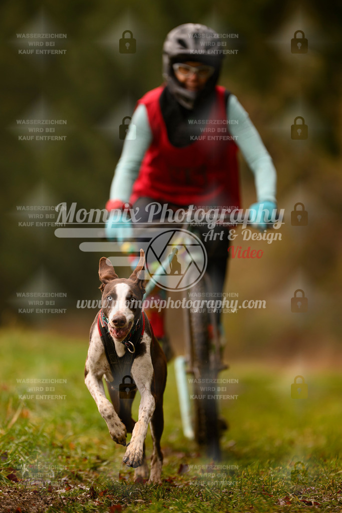 MompixPhotography_2SSTSSBW_2025_SO_Scooter-37 | PayLife