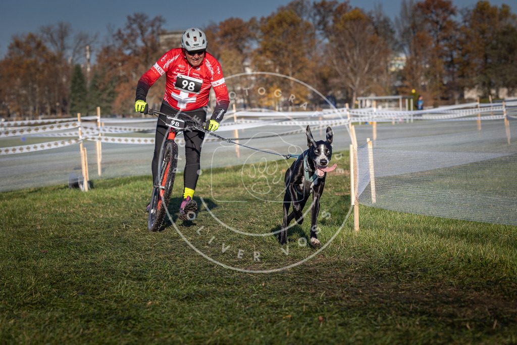 CaniXpix_0L8A4106 | Hundefotografie, Tierfotograf, Pfotenfotografie, Fotoshooting Hund, Hunde Portrait, Hundesport, Hundeportraits, Heideshooting, Hunde, Sportfotograf, Hundefotograf, Turnierhundsport, THS,  - Realisiert mit Pictrs.com