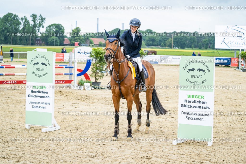 DSC03839 | Pferdegrafie