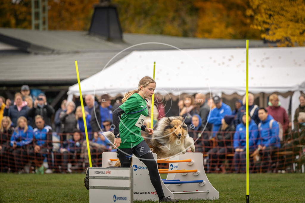 Pfotenfotografie_DV3A6628 | Hundefotografie, Tierfotograf, Pfotenfotografie, Fotoshooting Hund, Hunde Portrait, Hundesport, Hundeportraits, Heideshooting, Hunde, Sportfotograf, Hundefotograf, Turnierhundsport, THS,  - Realisiert mit Pictrs.com