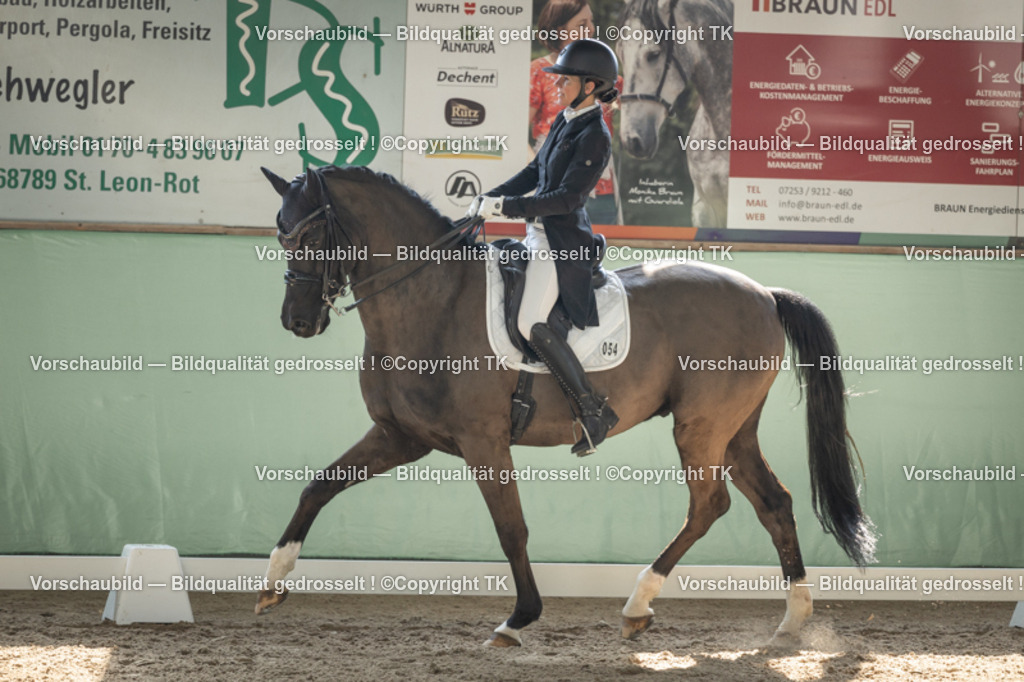 _D5A2172 | Emotionale Pferde- & People-Fotografie rund um Heidelberg, Leimen & Umgebung. Natürliche Fotos von Pferd, Mensch & Familie. Jetzt Termin sichern!