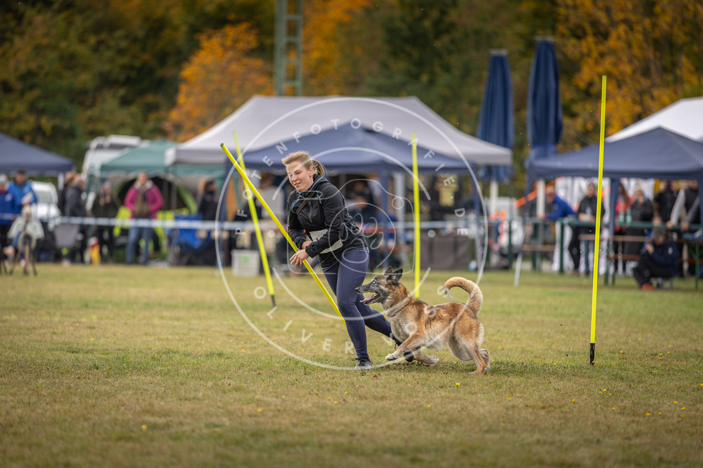 Pfotenfotografie_DV3A6914 | Hundefotografie, Tierfotograf, Pfotenfotografie, Fotoshooting Hund, Hunde Portrait, Hundesport, Hundeportraits, Heideshooting, Hunde, Sportfotograf, Hundefotograf, Turnierhundsport, THS,  - Realisiert mit Pictrs.com