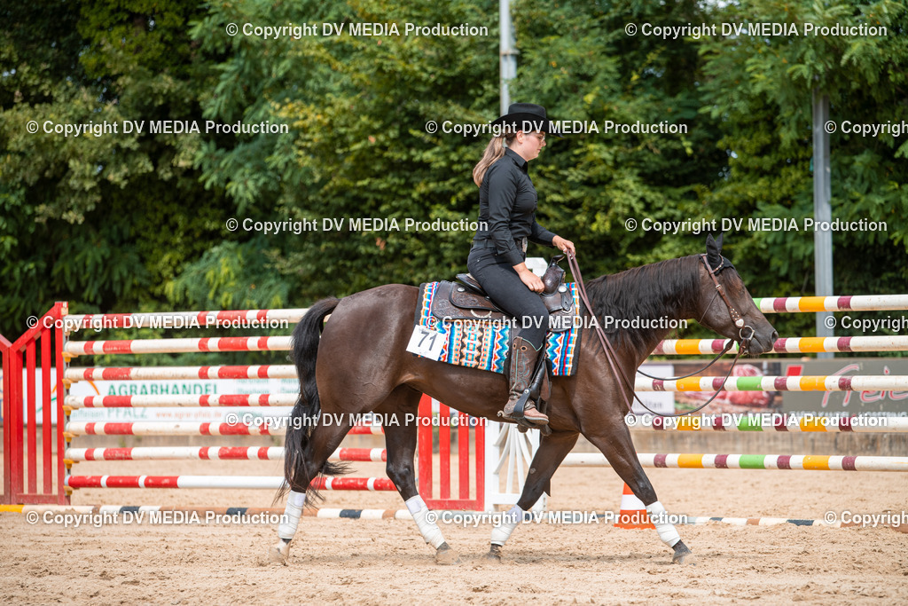 ZS3_9504 | dv-media-shop - Realisiert mit Pictrs.com