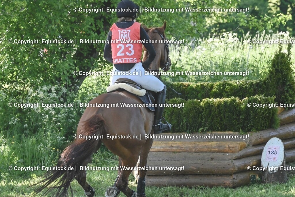 20250517_CCI2_Gelände_0729 | Foto: Thomas Hartig