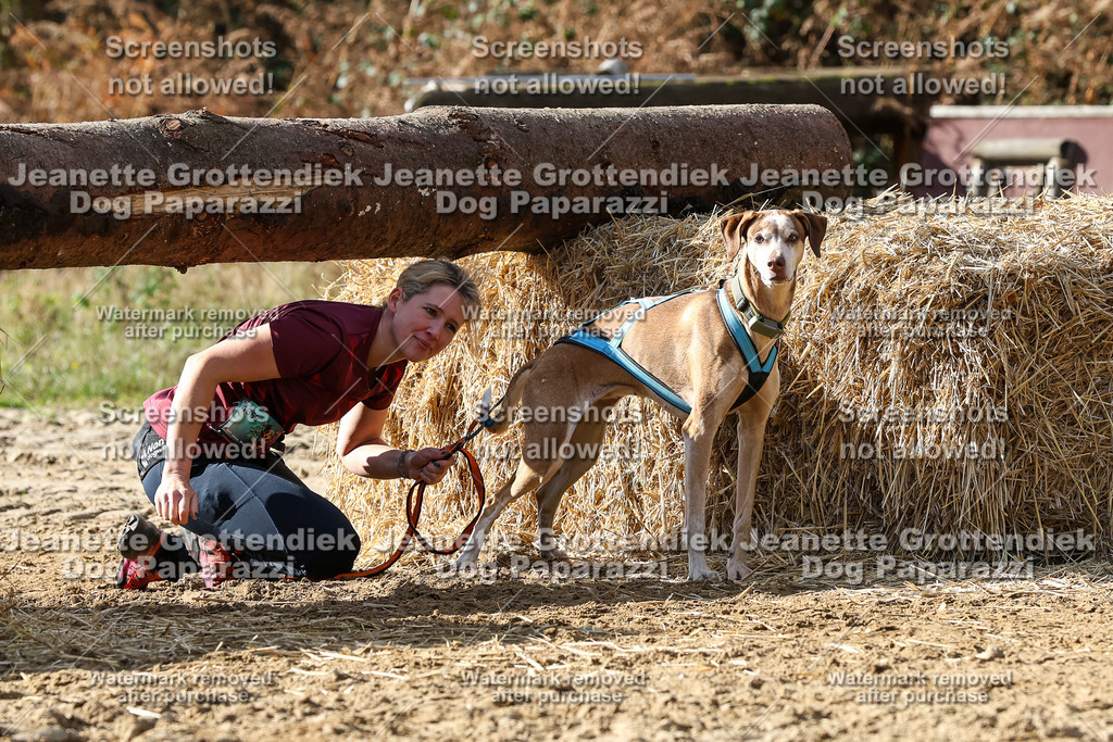 Dog Paparazzi - Strongdog 10-25-5492 | Dog Paparazzi Jeanette Grottendiek Fotografie & Videografie - Realisiert mit Pictrs.com