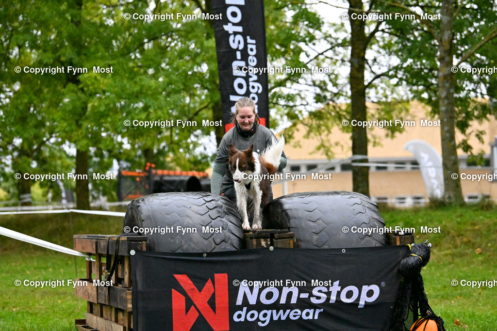 DSC_0868 | Hallo und herzlich Willkommen auf meiner Shop-Seite Fynn Most.

Ich wünsche Dir viel Spaß beim stöbern durch die Bilder, wenn Du Fragen hast oder Bilder vermisst, kannst du mir gerne eine Nachricht schreiben. - Realisiert mit Pictrs.com