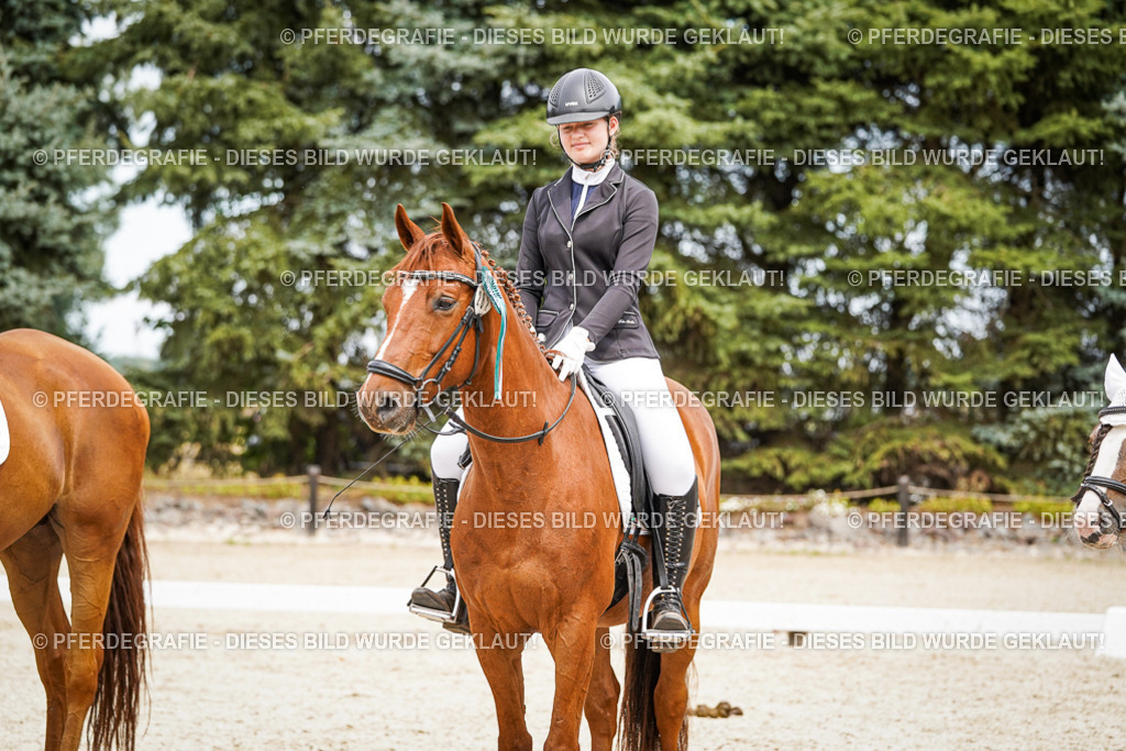 DSC04577 | Pferdegrafie