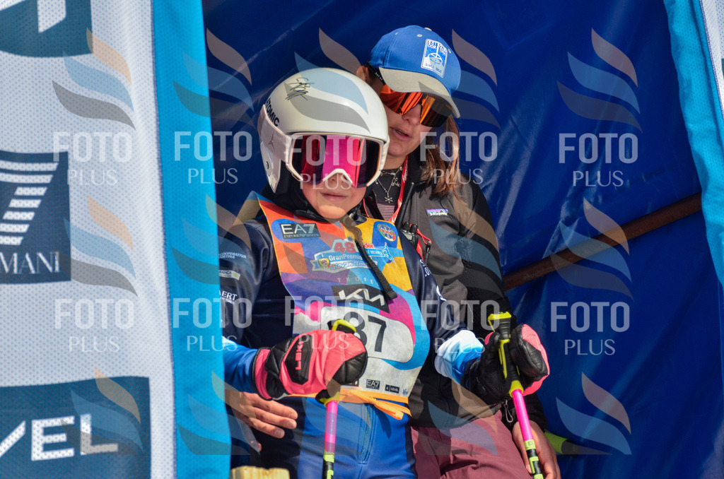 _ELE4966 | holidayphoto