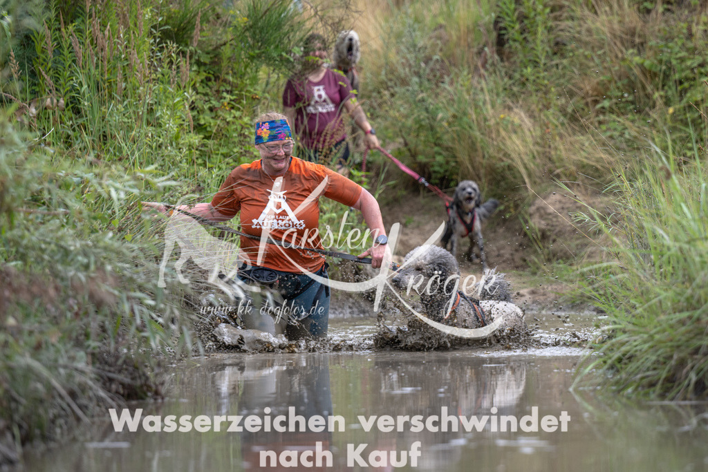 1223_ZZ98432 | kk-dogfotos