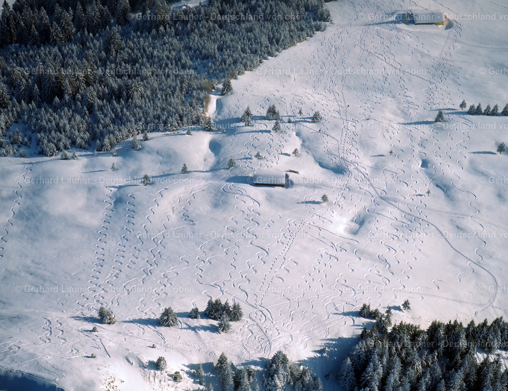 23B0220 | Skispuren in den Allgäuer Alpen