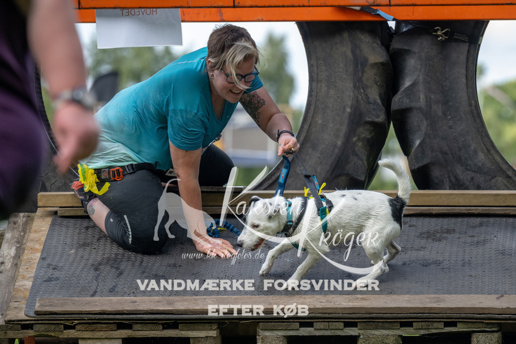 1555_ZZ94963 | kk-dogfotos