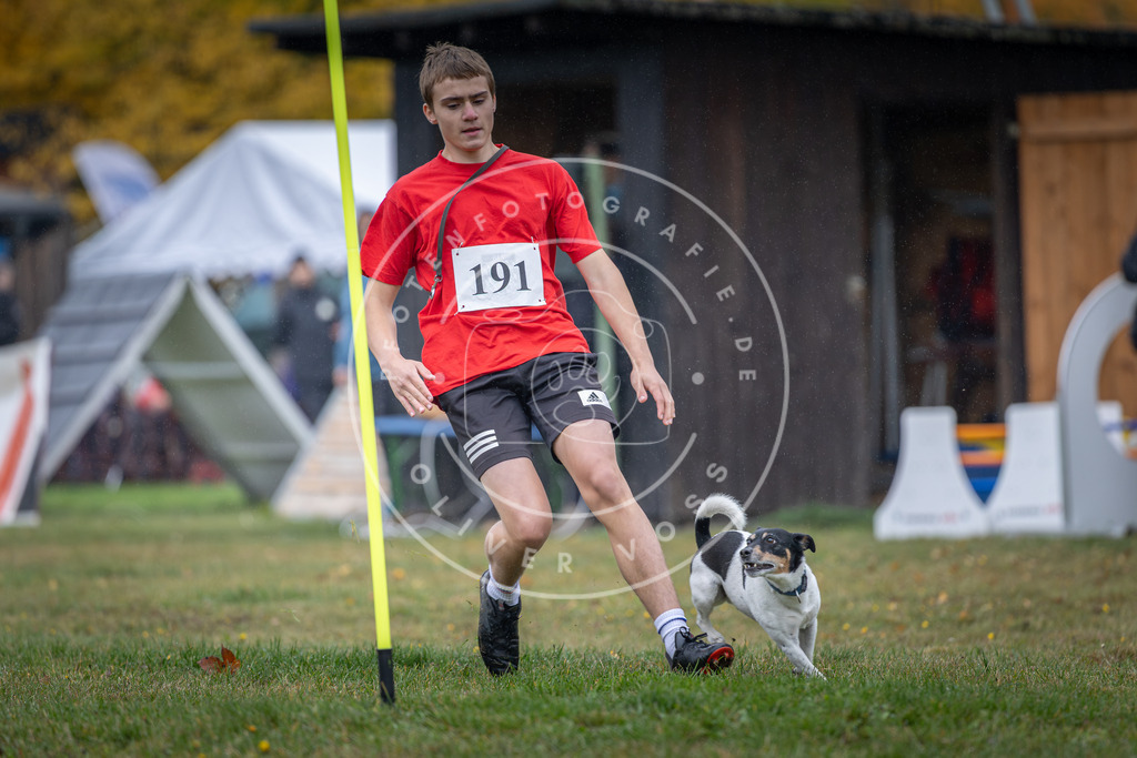 Pfotenfotografie_DV3A9910 | Hundefotografie, Tierfotograf, Pfotenfotografie, Fotoshooting Hund, Hunde Portrait, Hundesport, Hundeportraits, Heideshooting, Hunde, Sportfotograf, Hundefotograf, Turnierhundsport, THS,  - Realisiert mit Pictrs.com