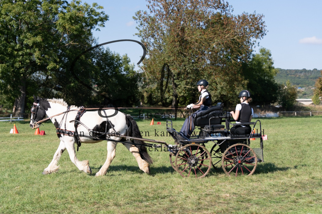 A7V04375 | Pferdefotograf