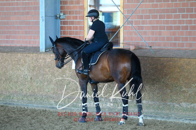 DKP42552 | Turniersportfotografie; Pferdefotografie; Dressurfotografie