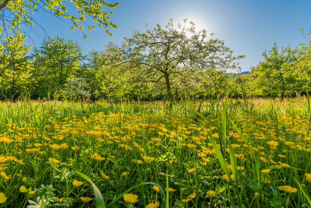 mühlsteintour_250426-123 | <div id="allefotografen-seal-verified-green"></div><script src="https://www.allefotografen.de/956728/seal-verified-green/seal.js" async="async"></script> - Realisiert mit Pictrs.com