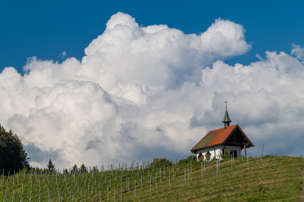 himmelsonah_090526-86 | <div id="allefotografen-seal-verified-green"></div><script src="https://www.allefotografen.de/956728/seal-verified-green/seal.js" async="async"></script> - Realisiert mit Pictrs.com