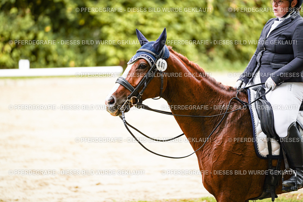 DSC03358 | Pferdegrafie