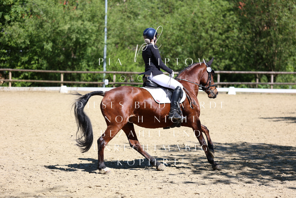 IMGS1276 | pl-fotografie