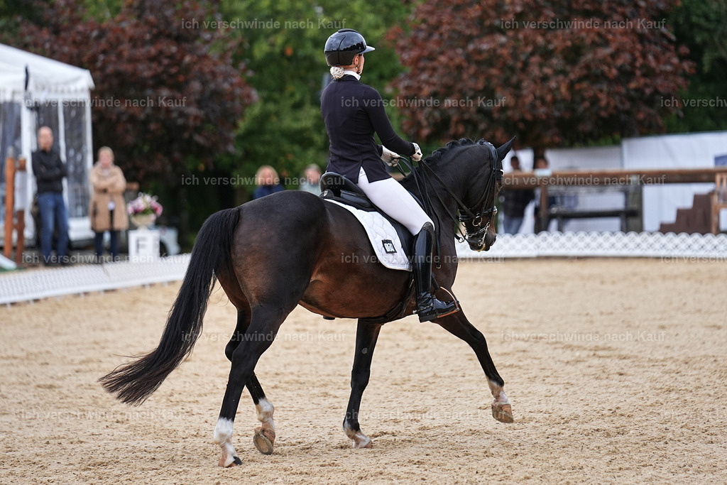3-104-Dressur M_-Marixx-1967 | working equitationturnier fotograf videograf stoibphotography marixx film working equitation deutschland reitsport turnierfotografie eventfotografie equestrian events