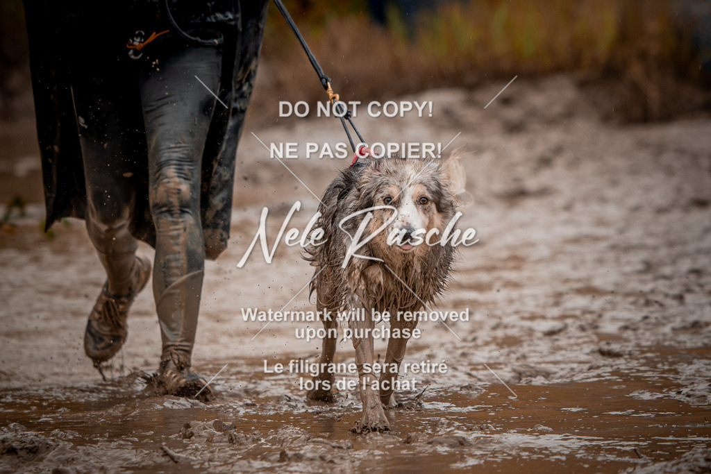 nelerasche_Creepy2025_Sa12-13_409 | nelerasche