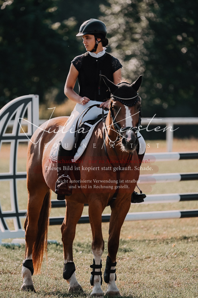 DSC_4889 | Pferde- und Turnierfotografie in Westsachsen. Pferdeportraits, Auftragszeichnungen und intuitive Kunst.