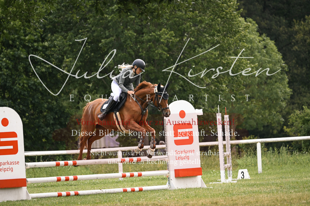 DSC_9113 | Pferde- und Turnierfotografie in Westsachsen. Pferdeportraits, Auftragszeichnungen und intuitive Kunst.