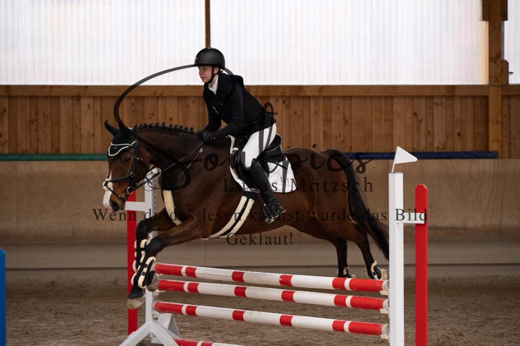 A7V00308 | Pferdefotograf