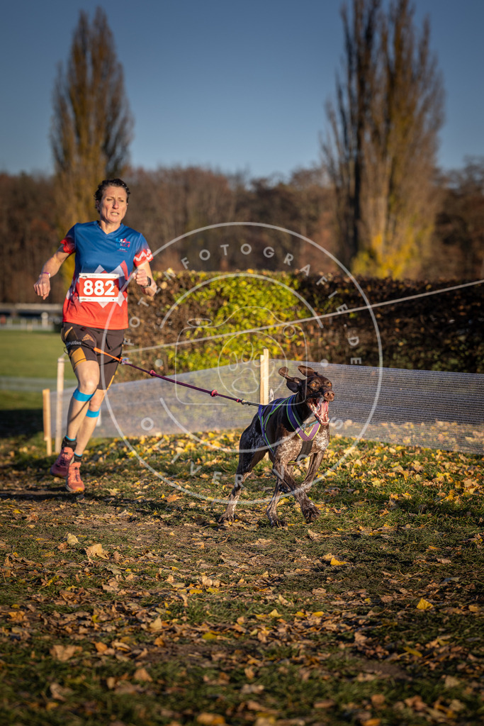 CaniXpix_DV3A4369 | Hundefotografie, Tierfotograf, Pfotenfotografie, Fotoshooting Hund, Hunde Portrait, Hundesport, Hundeportraits, Heideshooting, Hunde, Sportfotograf, Hundefotograf, Turnierhundsport, THS,  - Realisiert mit Pictrs.com
