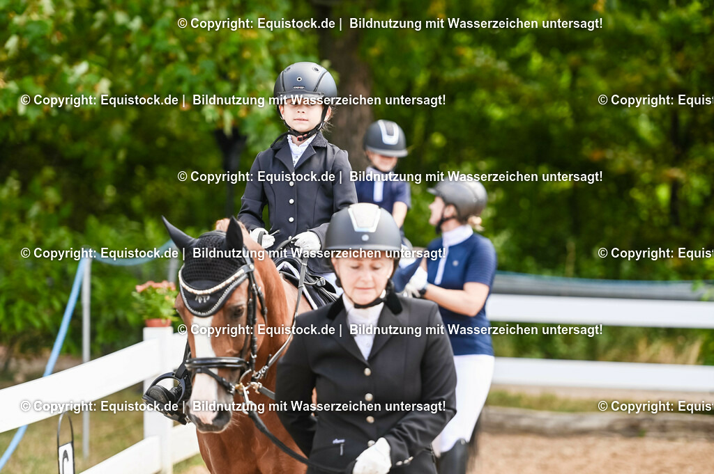 20230716_11_Führzügel-WB_0166 | equistock