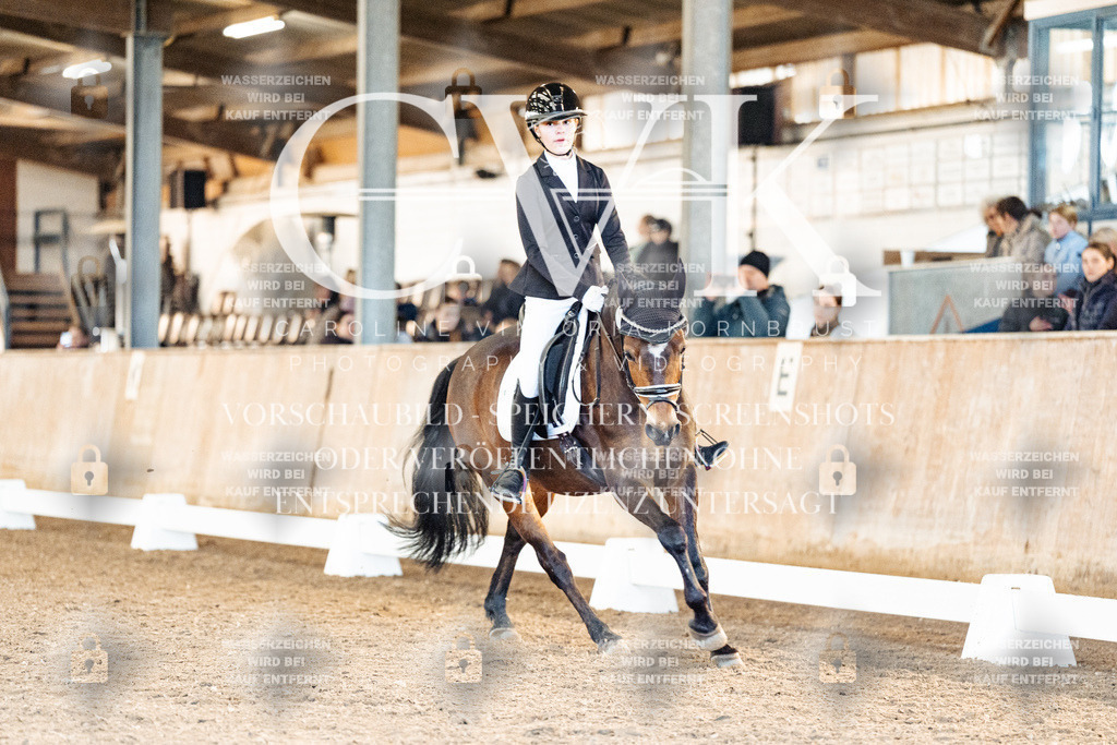 CK908079 | Turnierfotografie Pferdefotografie Trier Rheinland-Pfalz Pferdesport Reitsport Tierfotografie Sportfotografie Pferdevideo Pferdevideografie Equestrianvideography equestrianphotography  - Realisiert mit Pictrs.com