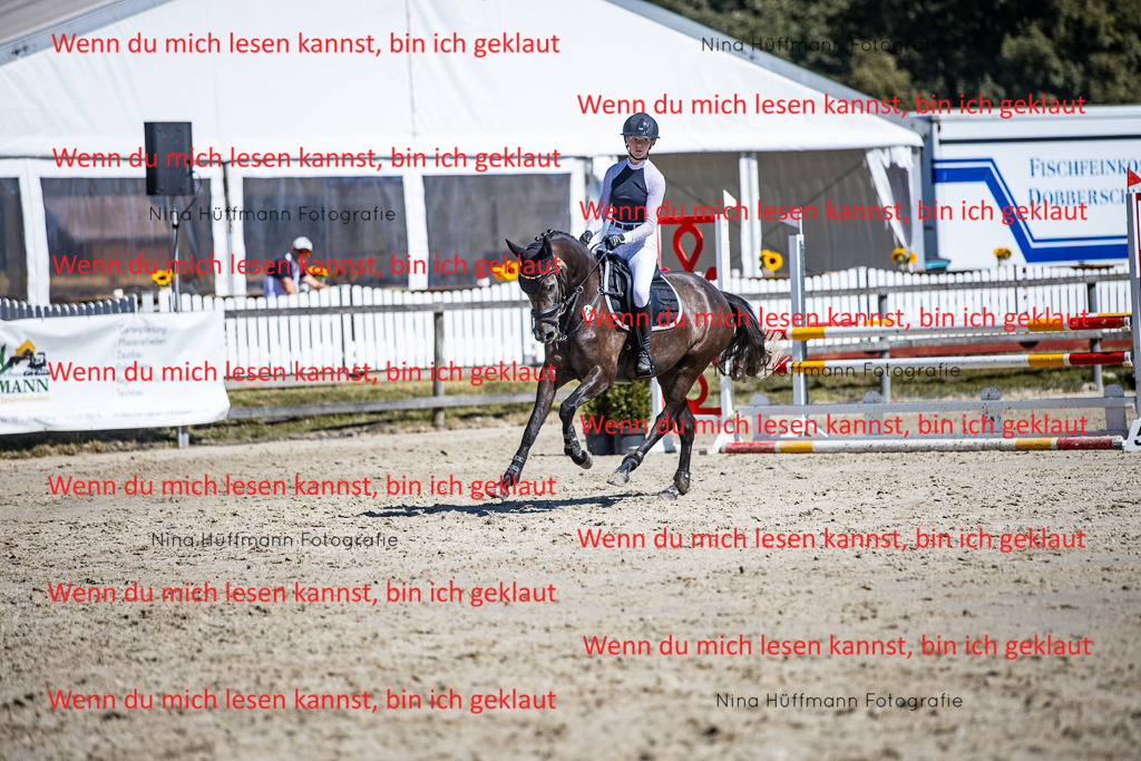 BK1A5616 | Turnierbilder Turnierfotos Nina Hüffmann Turnierfotografie Pferdefotografie Tierzeichnung Haustierzeichnung Pferdezeichnung Hundezeichnung Videograf  - Realisiert mit Pictrs.com