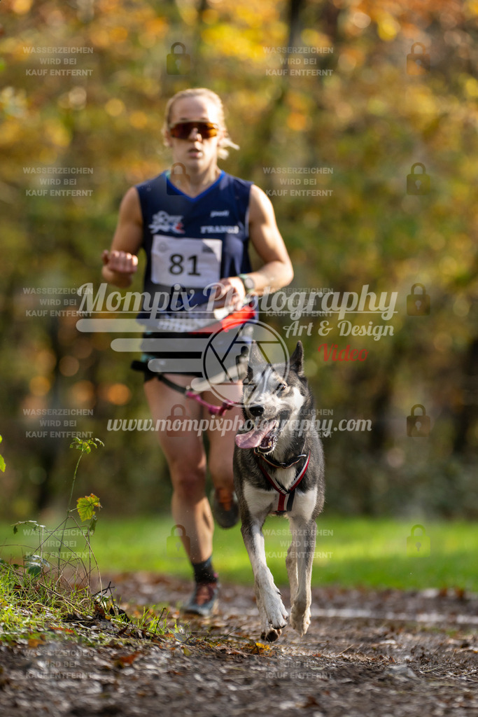 MompixPhotography_Bischwiller23_Canicross-7 | PayLife