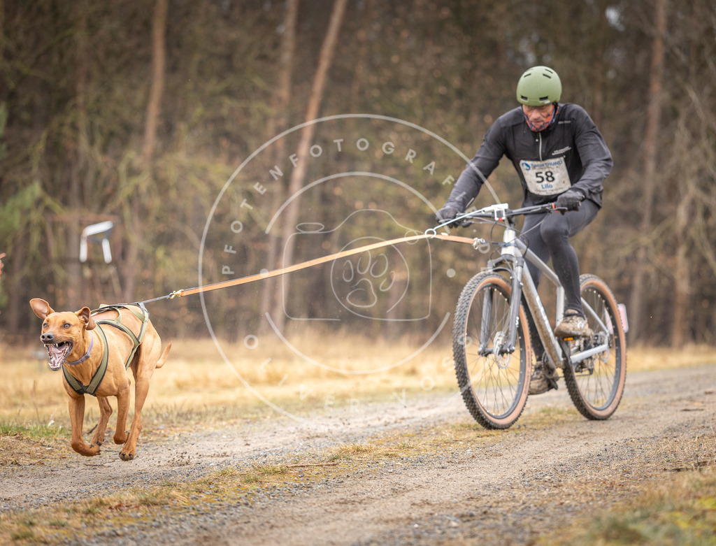 DV3A3260 | Hundefotografie, Tierfotograf, Pfotenfotografie, Fotoshooting Hund, Hunde Portrait, Hundesport, Hundeportraits, Heideshooting, Hunde, Sportfotograf, Hundefotograf, Turnierhundsport, THS,  - Realisiert mit Pictrs.com