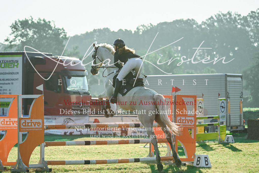 DSC_4053 | Pferde- und Turnierfotografie in Westsachsen. Pferdeportraits, Auftragszeichnungen und intuitive Kunst.
