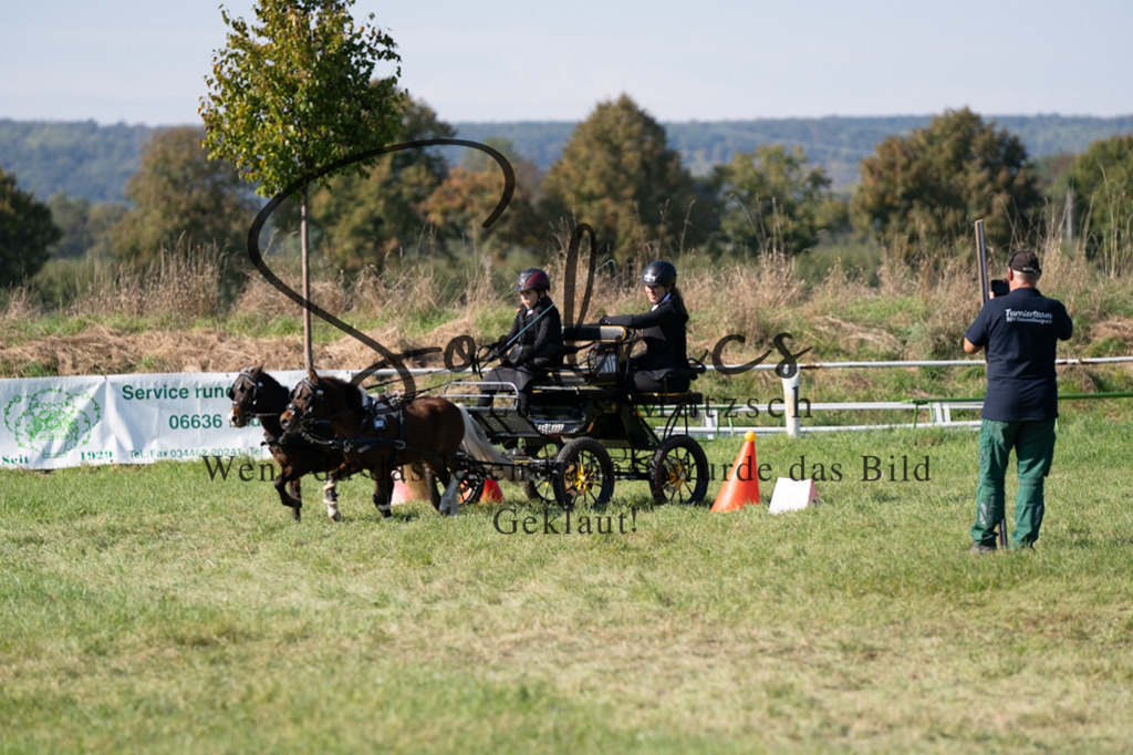 A7V04384 | Pferdefotograf