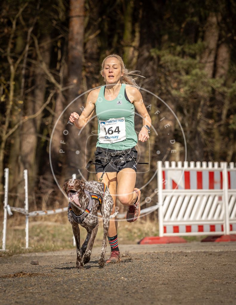 DV3A5595 | Hundefotografie, Tierfotograf, Pfotenfotografie, Fotoshooting Hund, Hunde Portrait, Hundesport, Hundeportraits, Heideshooting, Hunde, Sportfotograf, Hundefotograf, Turnierhundsport, THS,  - Realisiert mit Pictrs.com