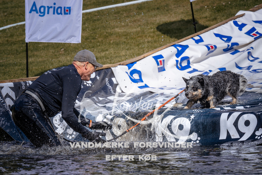 _ZZ927010928 | kk-dogfotos