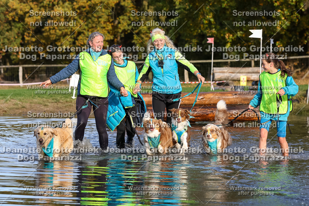 Dog Paparazzi - Strongdog 10-25-8484 | Dog Paparazzi Jeanette Grottendiek Fotografie & Videografie - Realisiert mit Pictrs.com