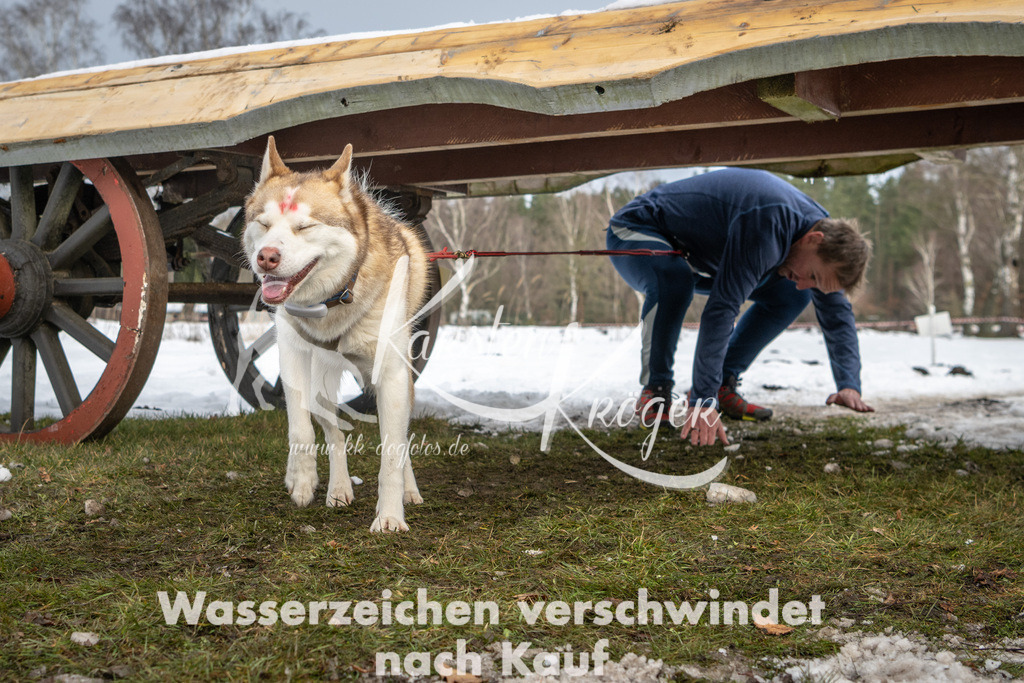 0934_ZZ90851 | kk-dogfotos