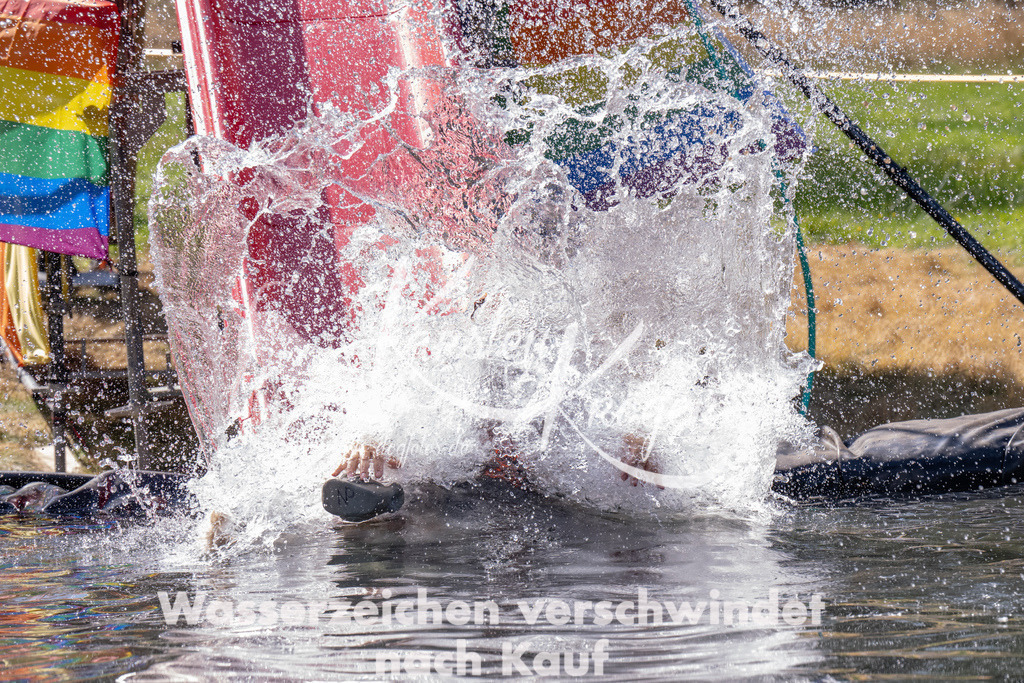 1208_ZZ90867 | kk-dogfotos