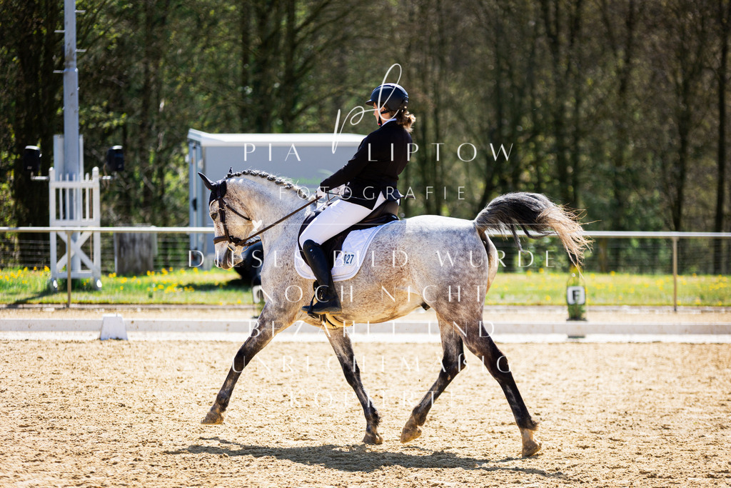 IMGT1609 | pl-fotografie